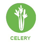 celery