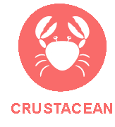 crustacean